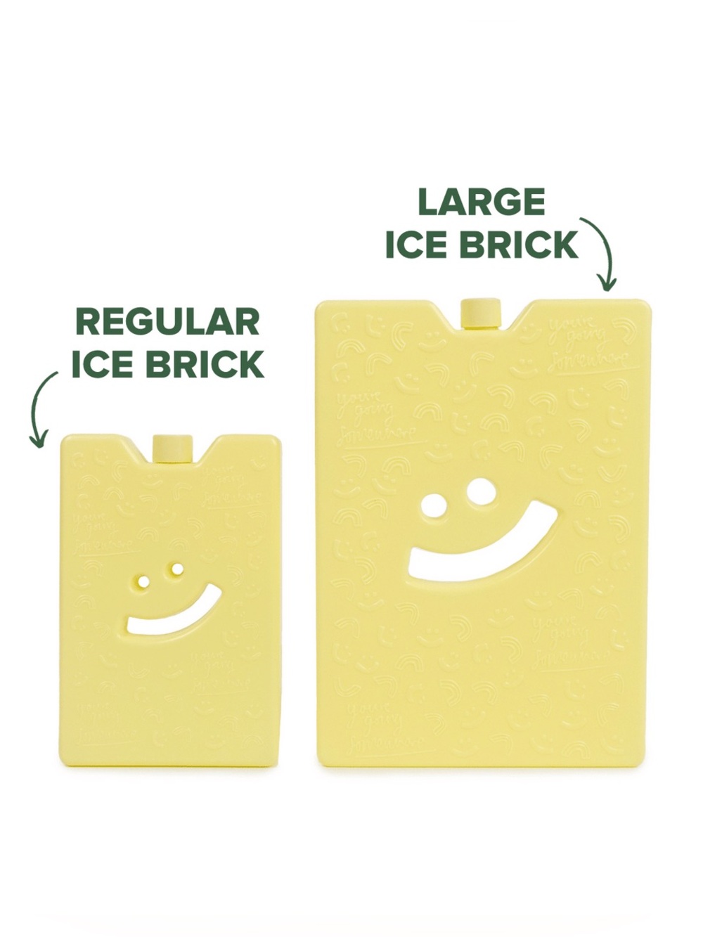 The Somewhere Co Ice Brick Pack Duo - New Brand new